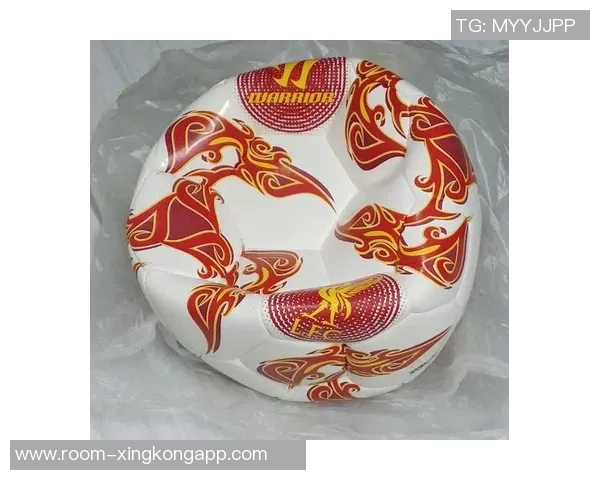 若塔壁画剩余款项捐赠LFC基金会助力基层足球发展新项目