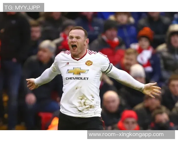 舍伍德认为曼联应关注健康的范德芬签约机会，众多球队也在关注他